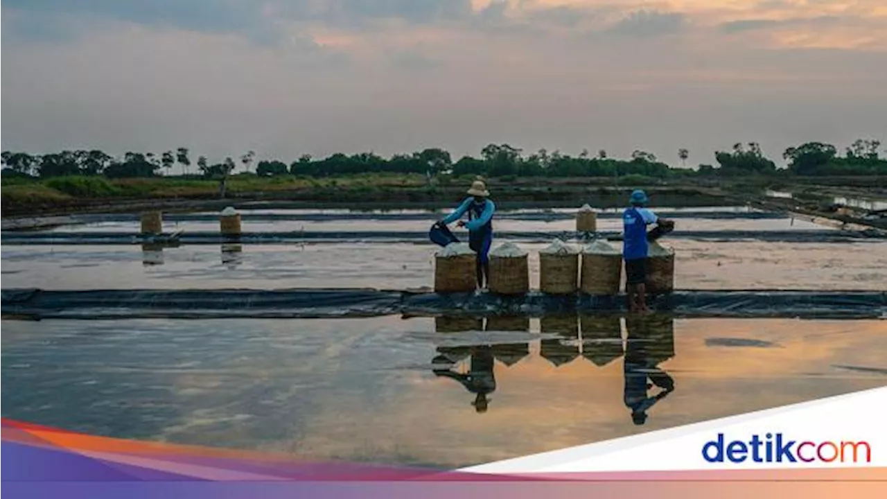 BRI Catat Portofolio Pembiayaan Berkelanjutan Capai Rp764,8 T di Q3-2024