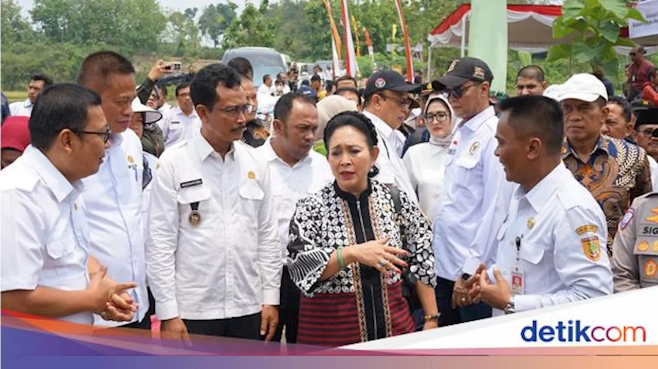 Ketua Komisi IV DPR Dukung Program Strategis Kementan Capai Swasembada Pangan