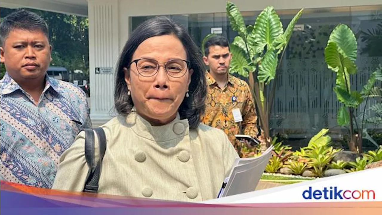 Sri Mulyani Sebut PPN 12% Sesuai Undang-undang, Bukan Membabi Buta