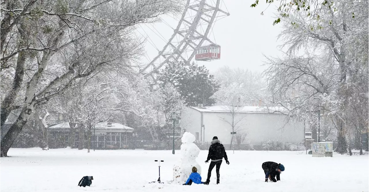 Nach OMV-Sieg über Gazprom: Österreichs erster Winter ohne russisches Gas