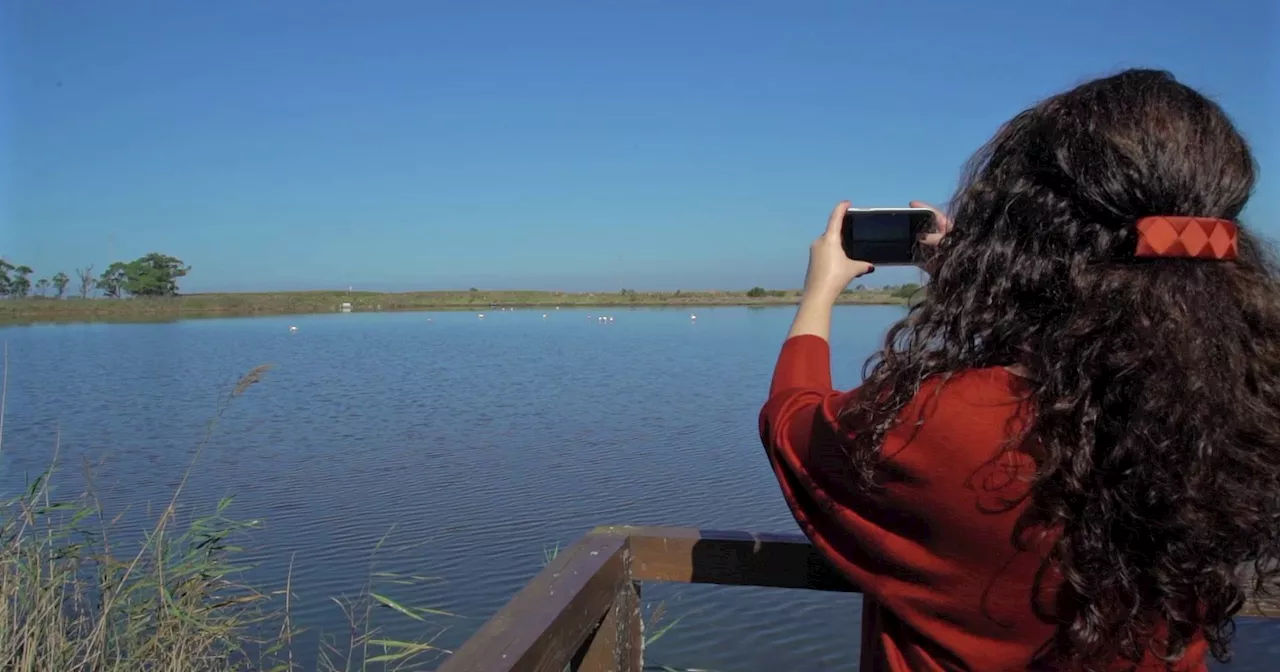 Descobrir dunas, salinas, águas curativas e a maior ecopista no Centro de Portugal