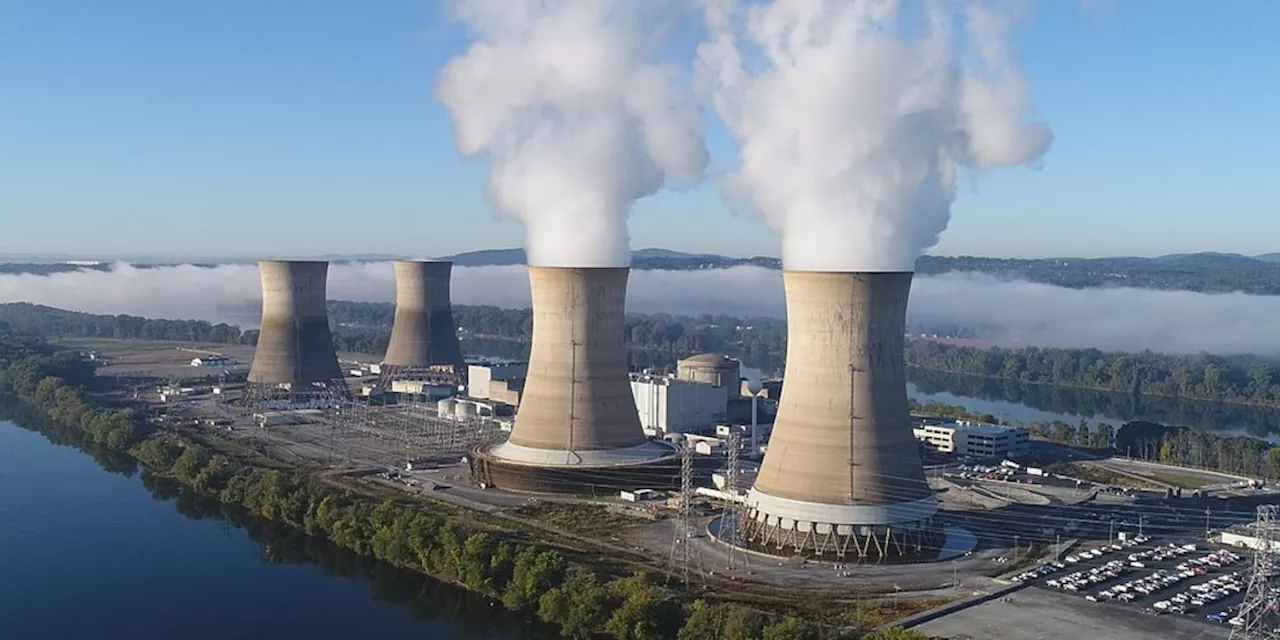 IAEA-Chef: Deutschlands Rückkehr zu Atomkraft wäre „logisch“