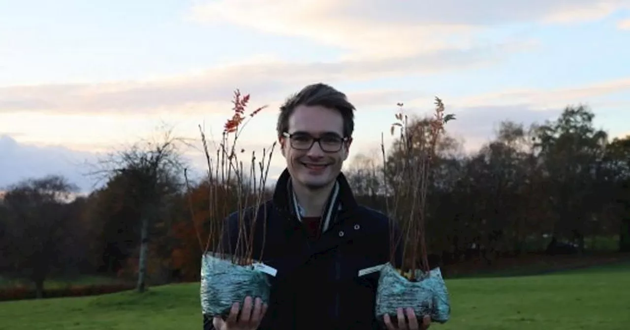 More trees planned for Glasgow neighbourhoods with the least greenery