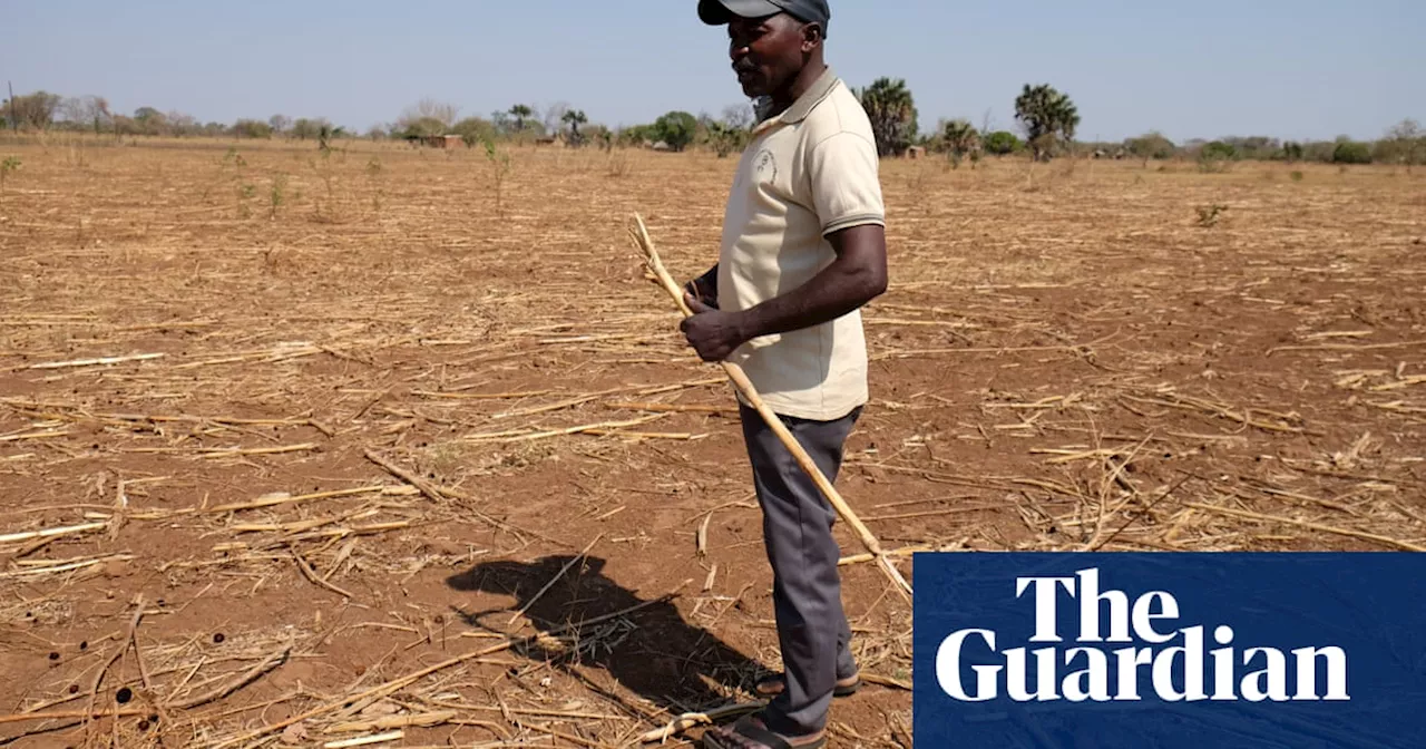 ‘I have lost everything’: southern Africa battles hunger amid historic drought