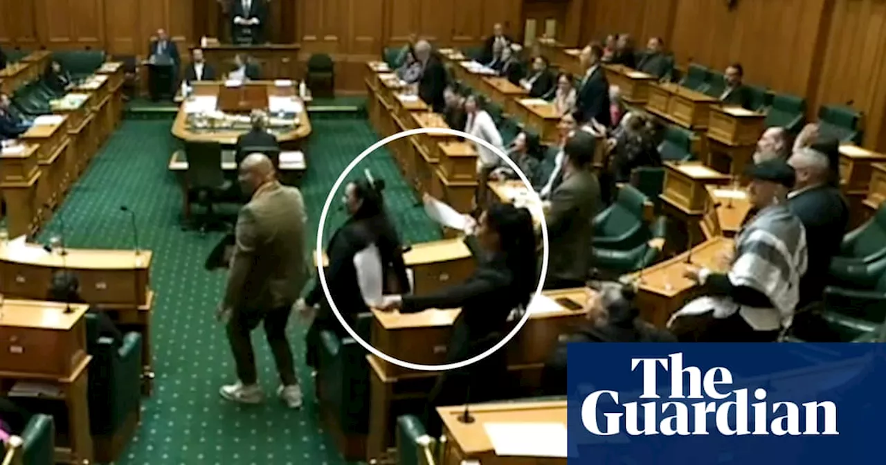 Insults, anger and a haka in New Zealand parliament as MPs debate bill on Māori rights