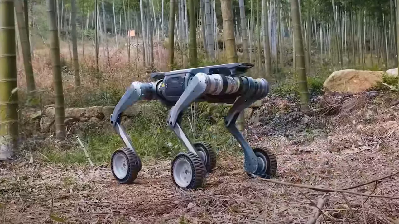 Watch: China’s insane robot dog tackles tough terrain, big boulders at high speed