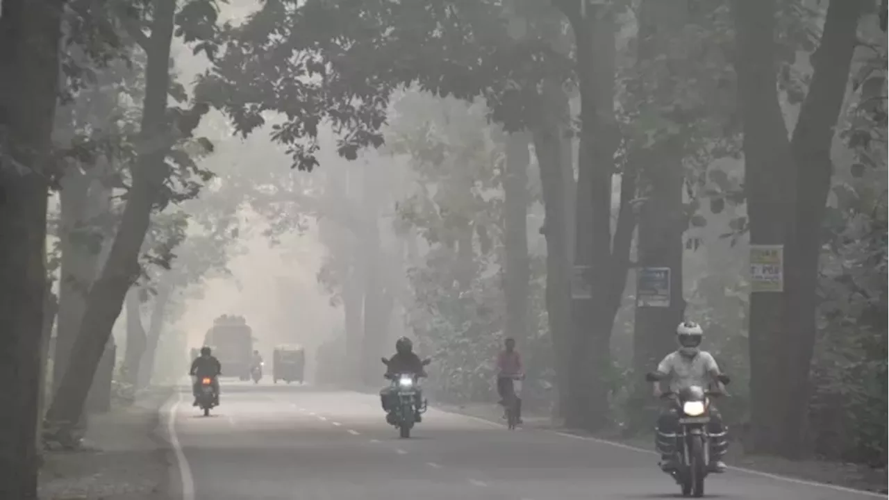 UP Weather News: कोहरे के आगोश में यूपी, रात ने समझा ठंड का इशारा, गिरने लगा न्यूनतम पारा