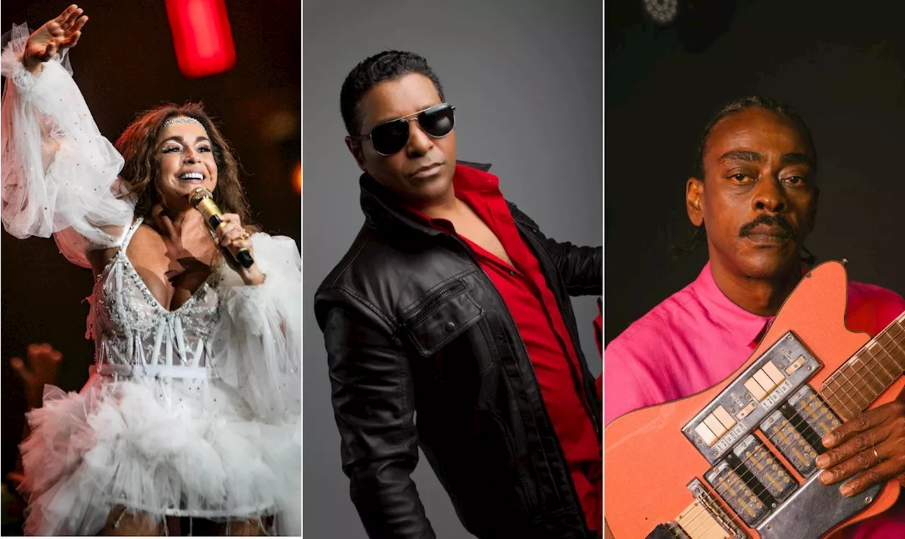 'Aliança Global' com Ney Matogrosso e Daniela Mercury, Stevie B, Seu Jorge: os shows da semana