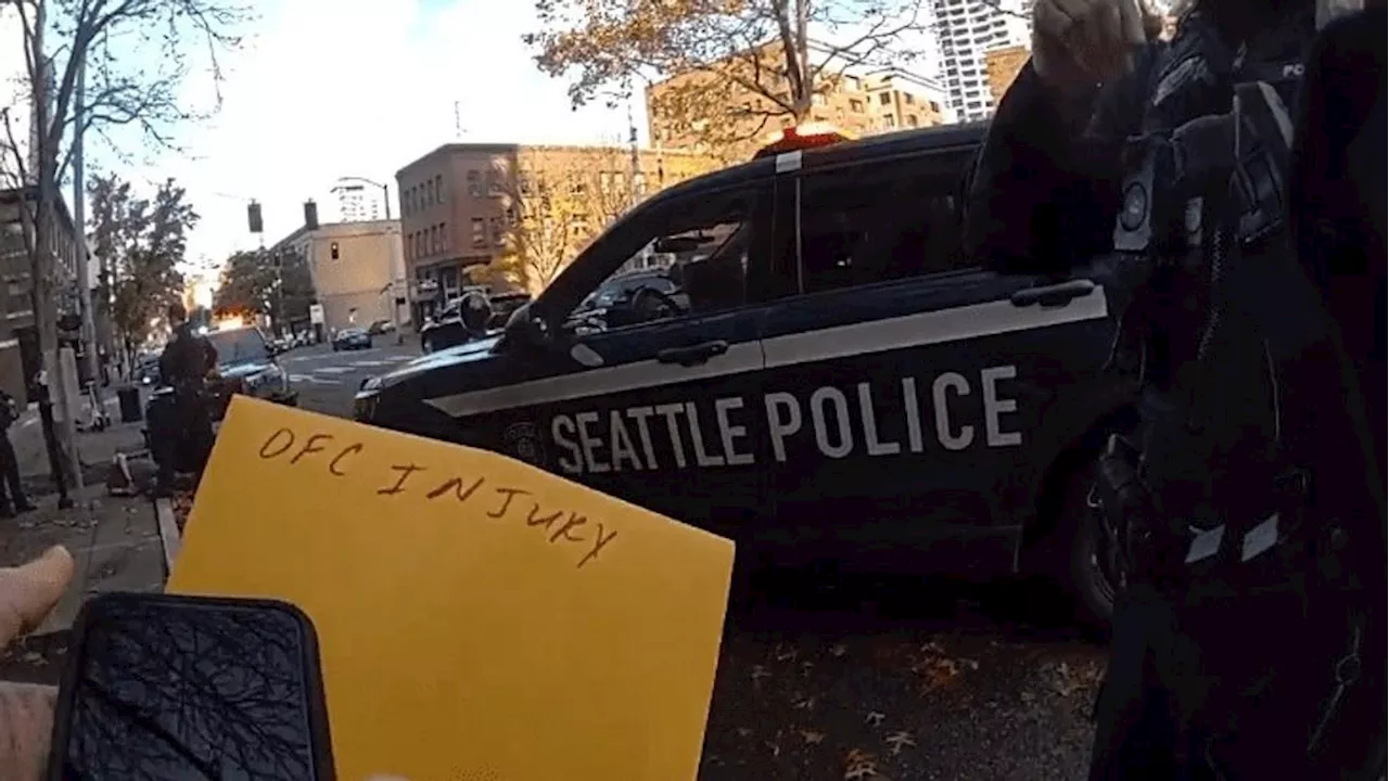 Police chase and arrest vehicle prowler who assaulted officer in downtown Seattle