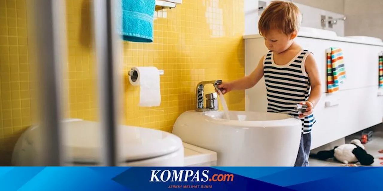 Duduk Lebih dari 10 Menit di Toilet Sebabkan Wasir, Berapa Lama Idealnya?