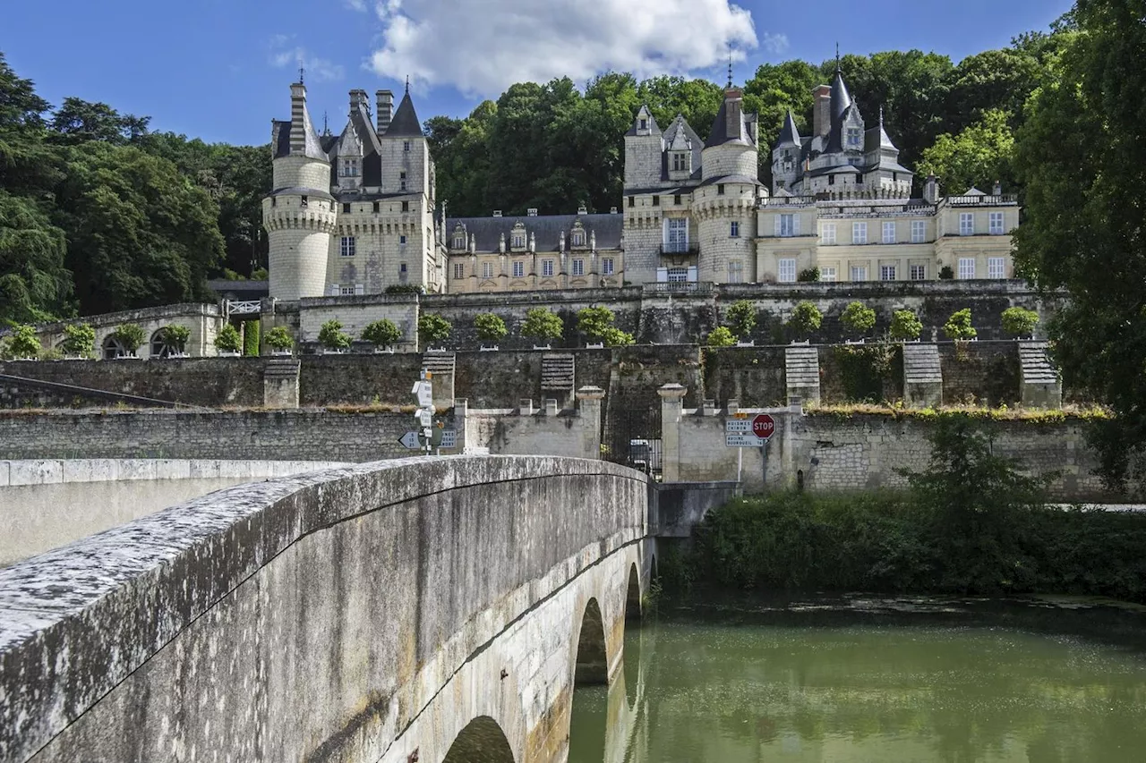 Forêt : au château d’Ussé, des crédits carbone pour limiter les coupes rases