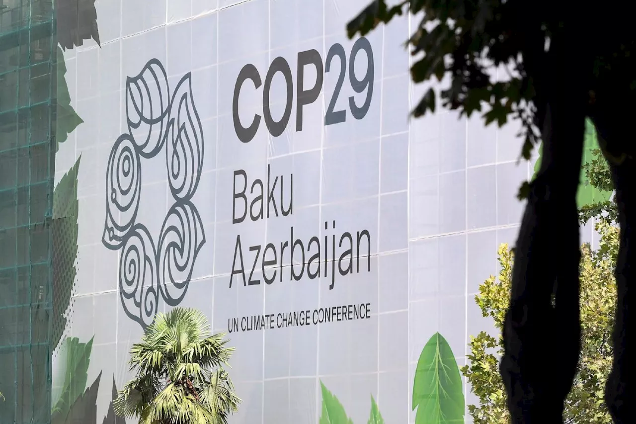 La présidence de la COP29 tente de calmer le jeu avec la France