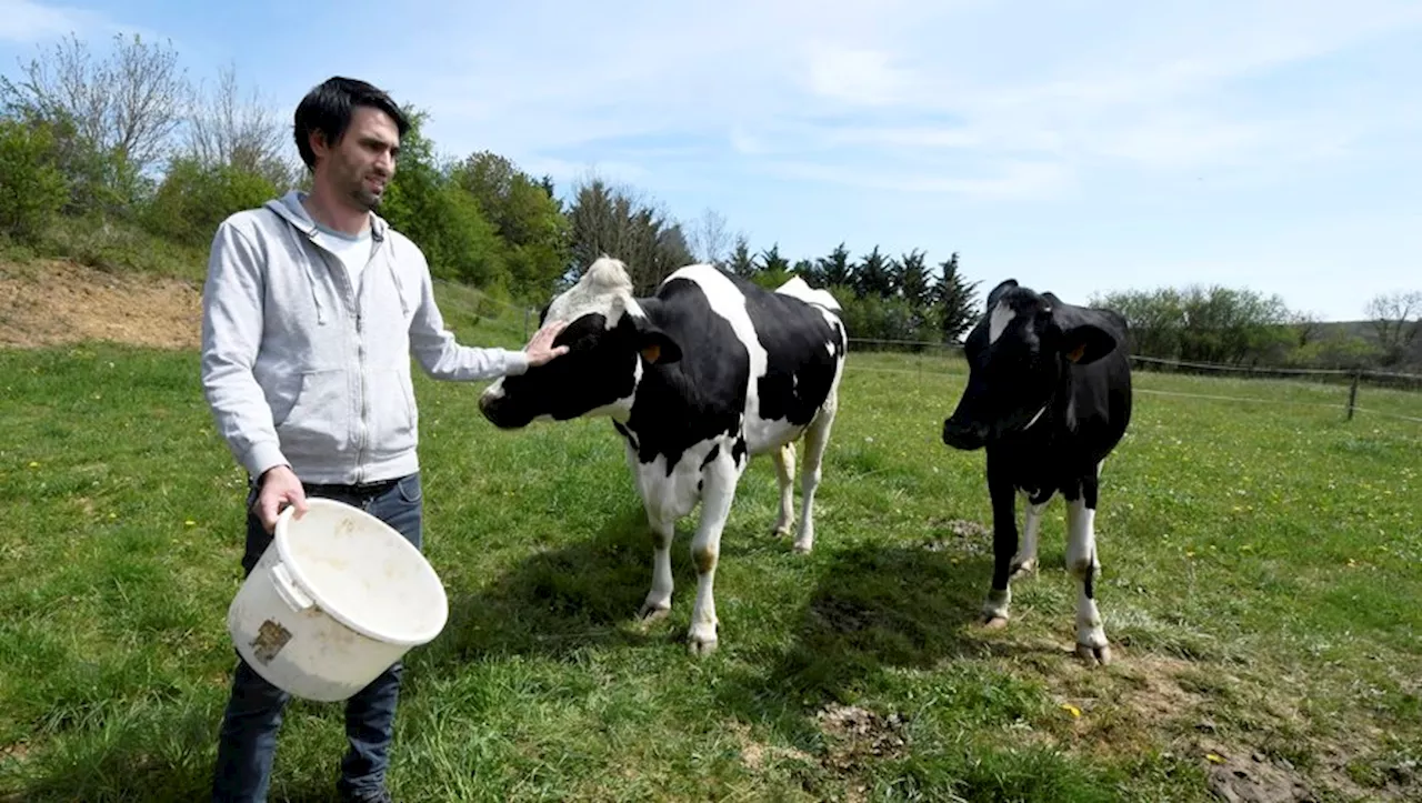 Colère des agriculteurs : après '30 ans de surplace' des retenues d’eau construites en Haute-Garonne