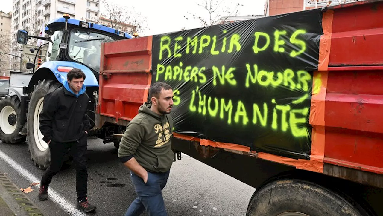 Colère des agriculteurs : malgré les aides, les cultivateurs et les éleveurs à bout de souffle