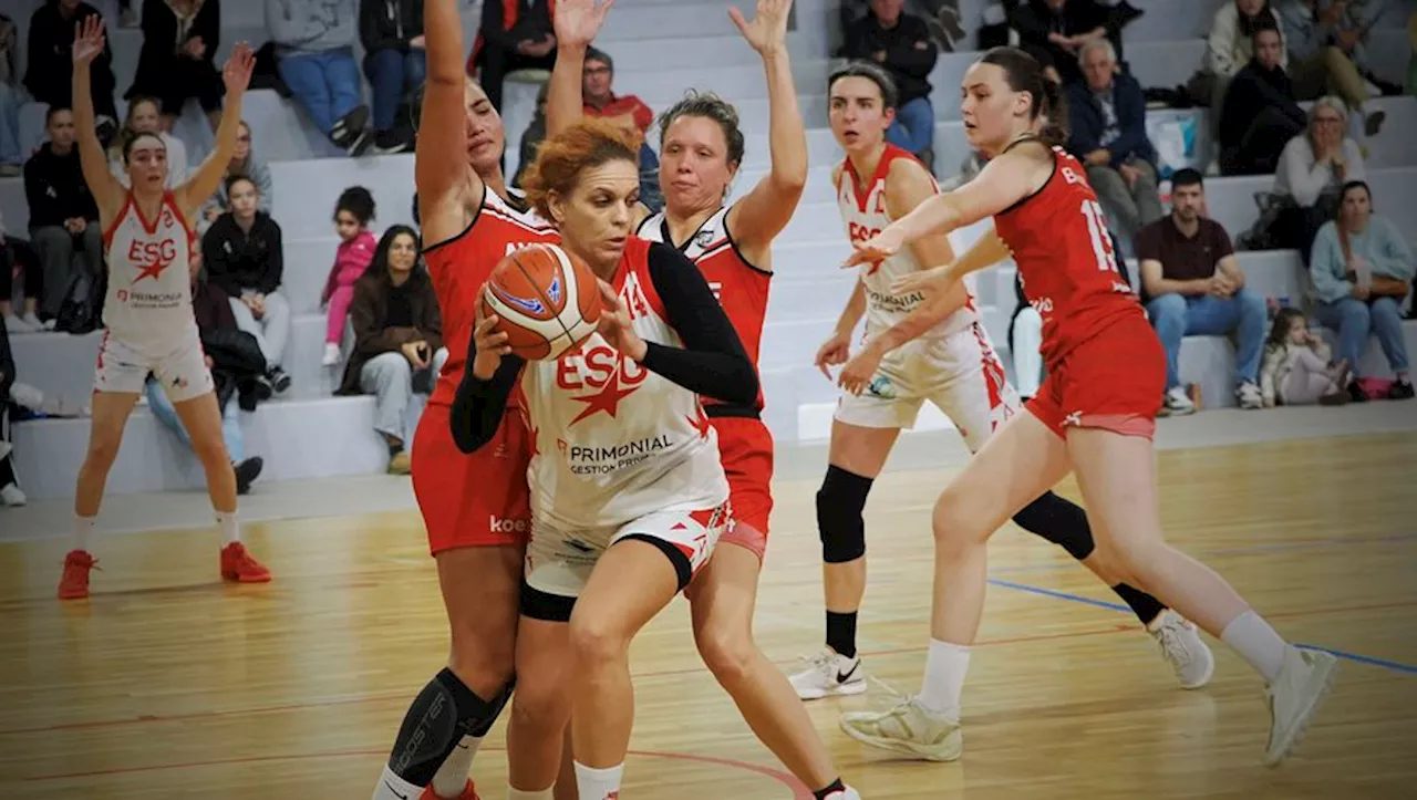 – Nationale féminine 2 : Gimont va se tester dans les Deux-Sèvres face à une formation de