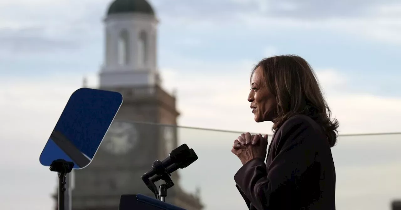 Harris' real error — not bros, not Biden, not the border