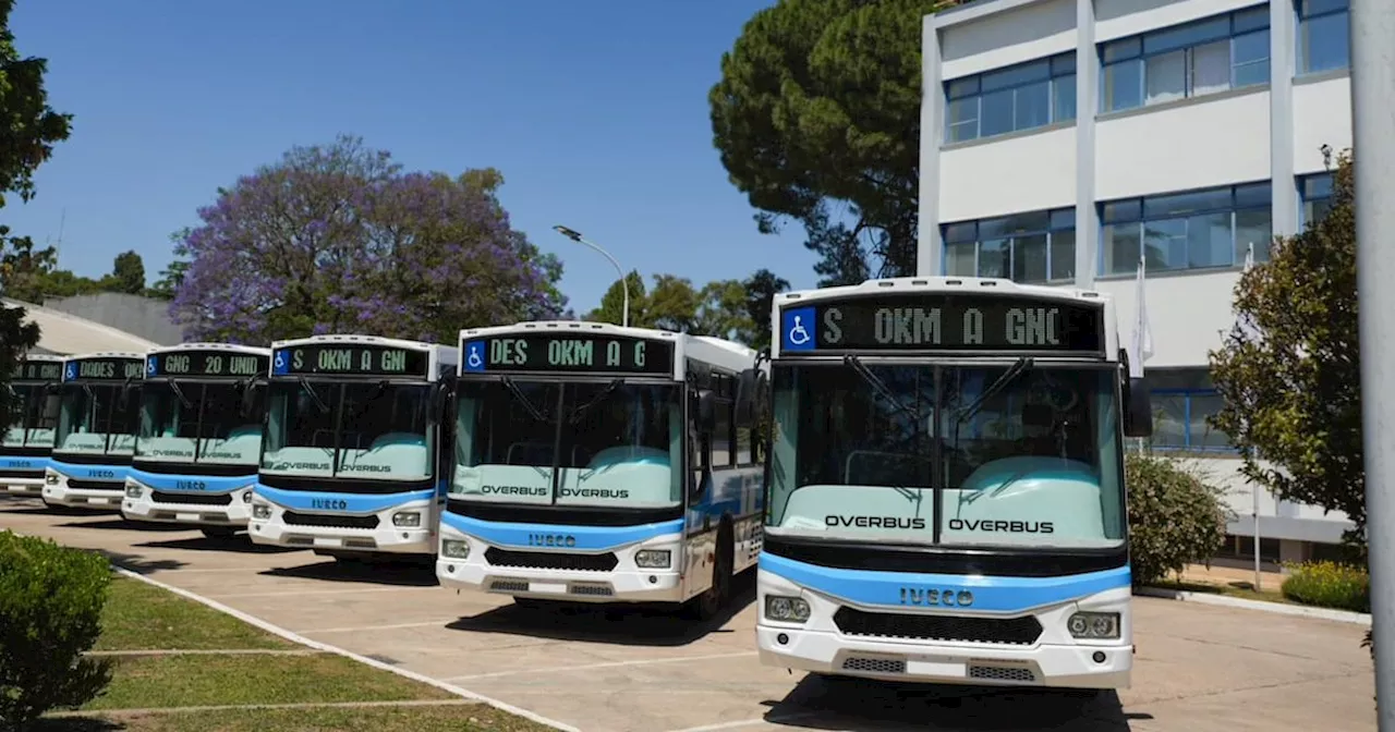 Se incorporan los 20 ómnibus Iveco a GNC a las líneas de Tamse