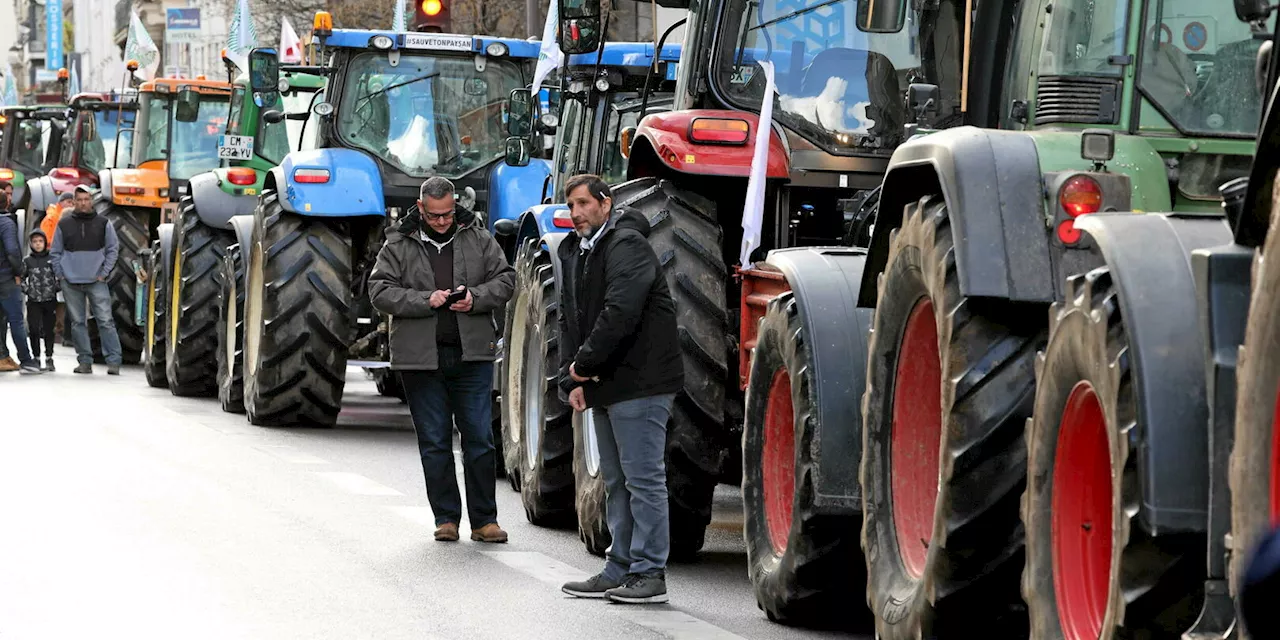 Colère des agriculteurs : la FNSEA en dit plus sur ses actions à venir