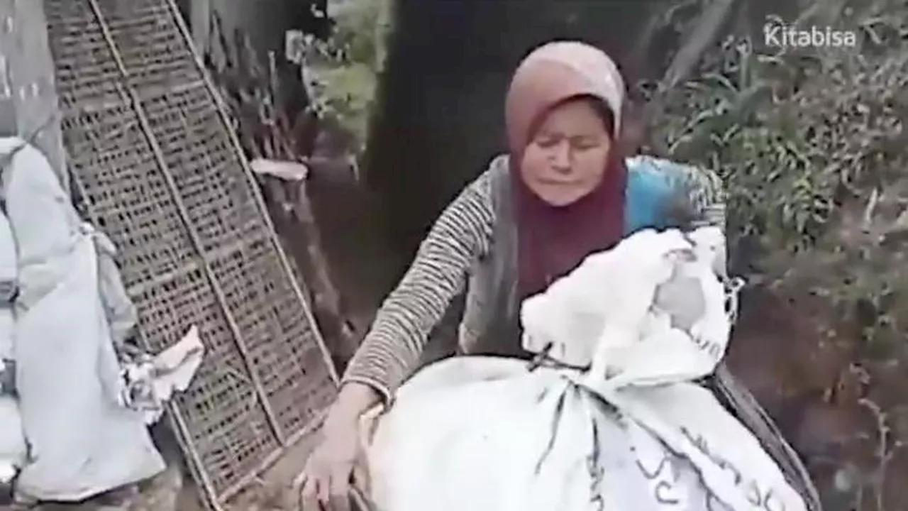 Cerita Mbah Bingah Pemungut Sampah di Gunung Merbabu Kembali Viral, Disebut Jadi Tamparan bagi Pendaki Gunung