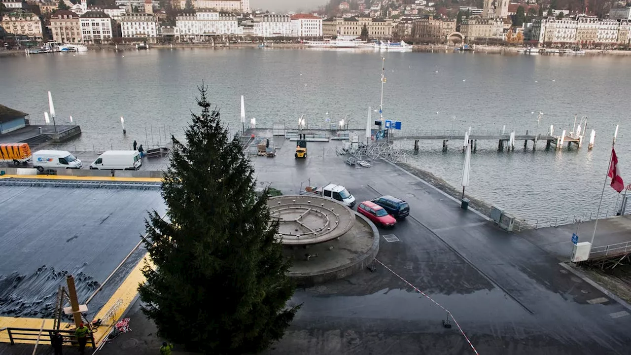 Grösster Weihnachtsbaum der Stadt Luzern steht bereits vor dem KKL