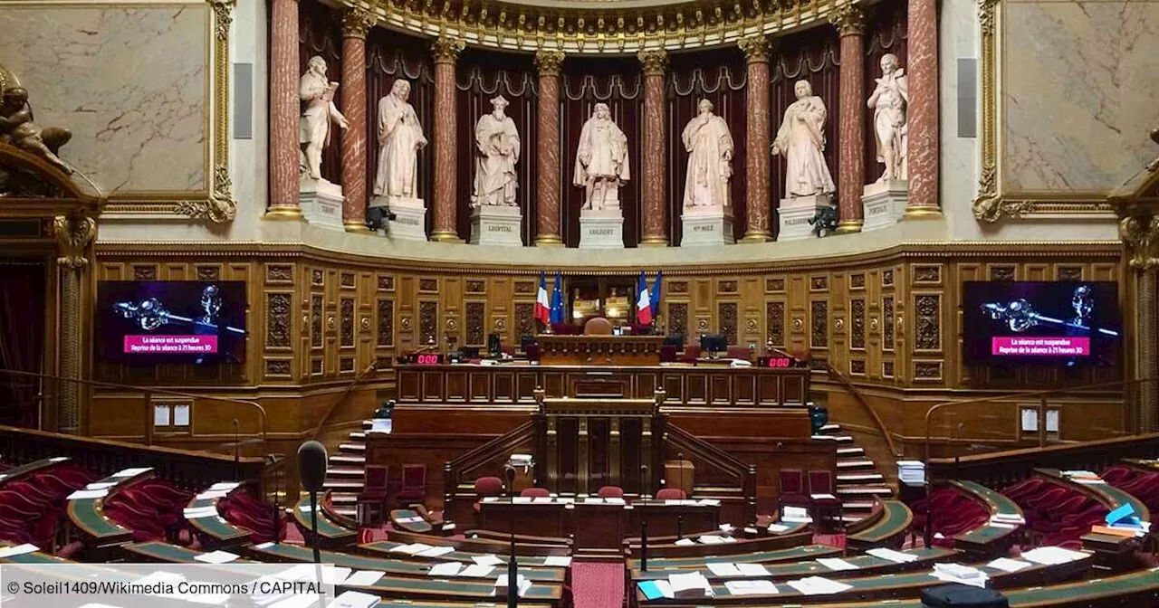 Travailler «gratuitement» 7 heures par an : la proposition choc du Sénat pour sauver la Sécurité sociale