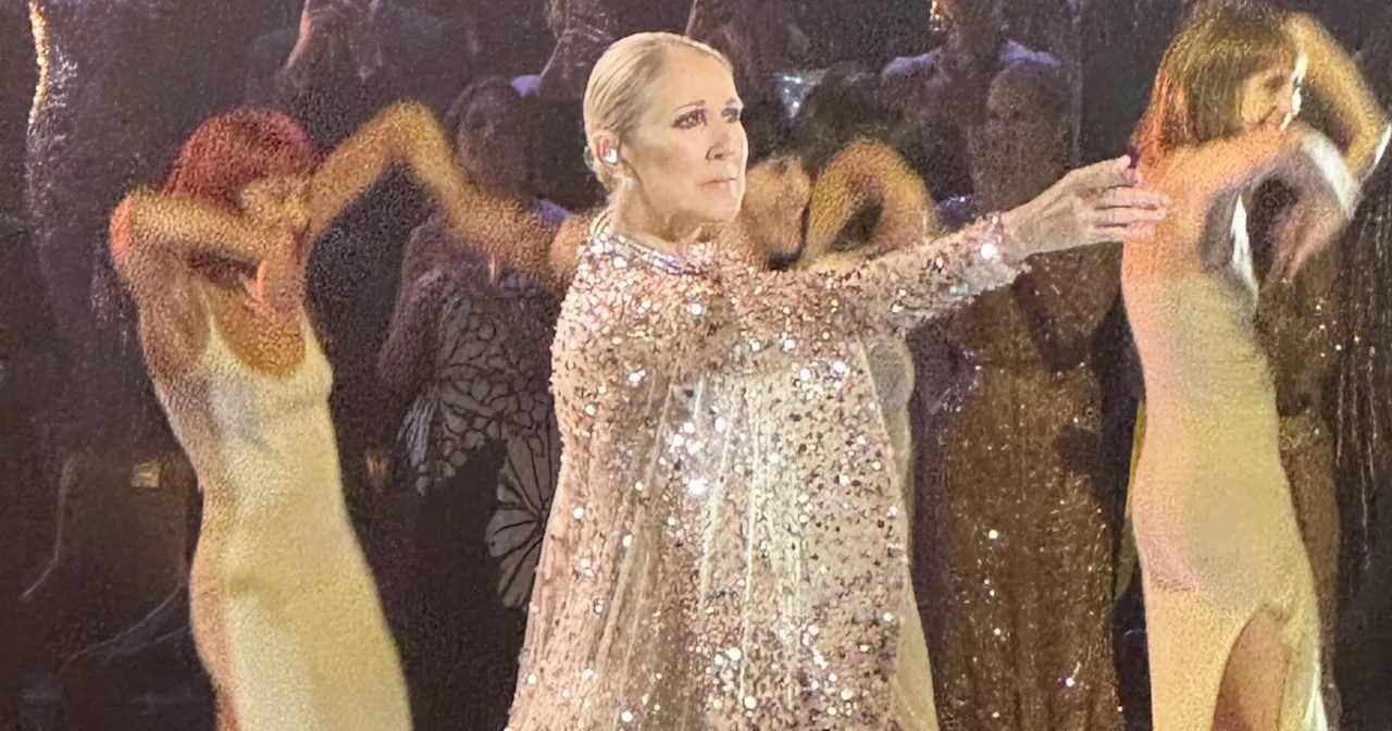 Une performance de Céline Dion, 1 500 invités et 300 robes couture : Elie Saab fête son anniversaire lors d'un show grandiose