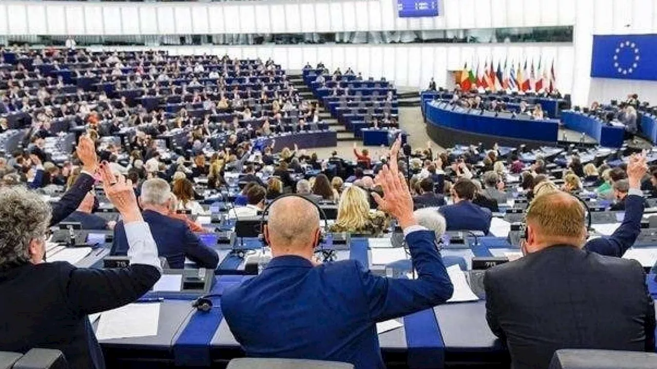 Deforestazione, si spacca la maggioranza Ursula al Parlamento Ue | I Socialisti 'delusi': 'La Commissione ritiri il testo'