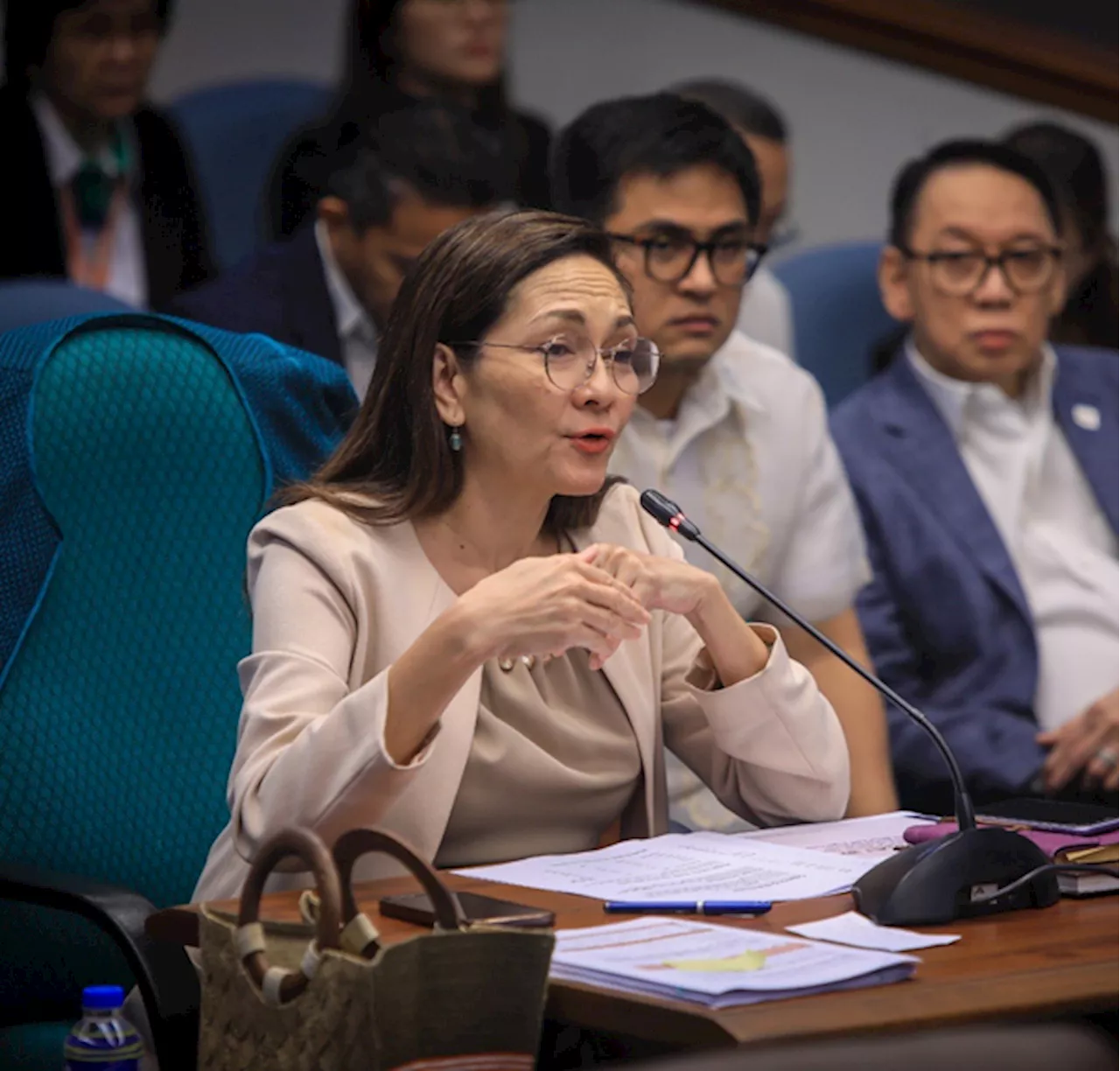 Hontiveros states reasons for rejecting Natural Gas Bill