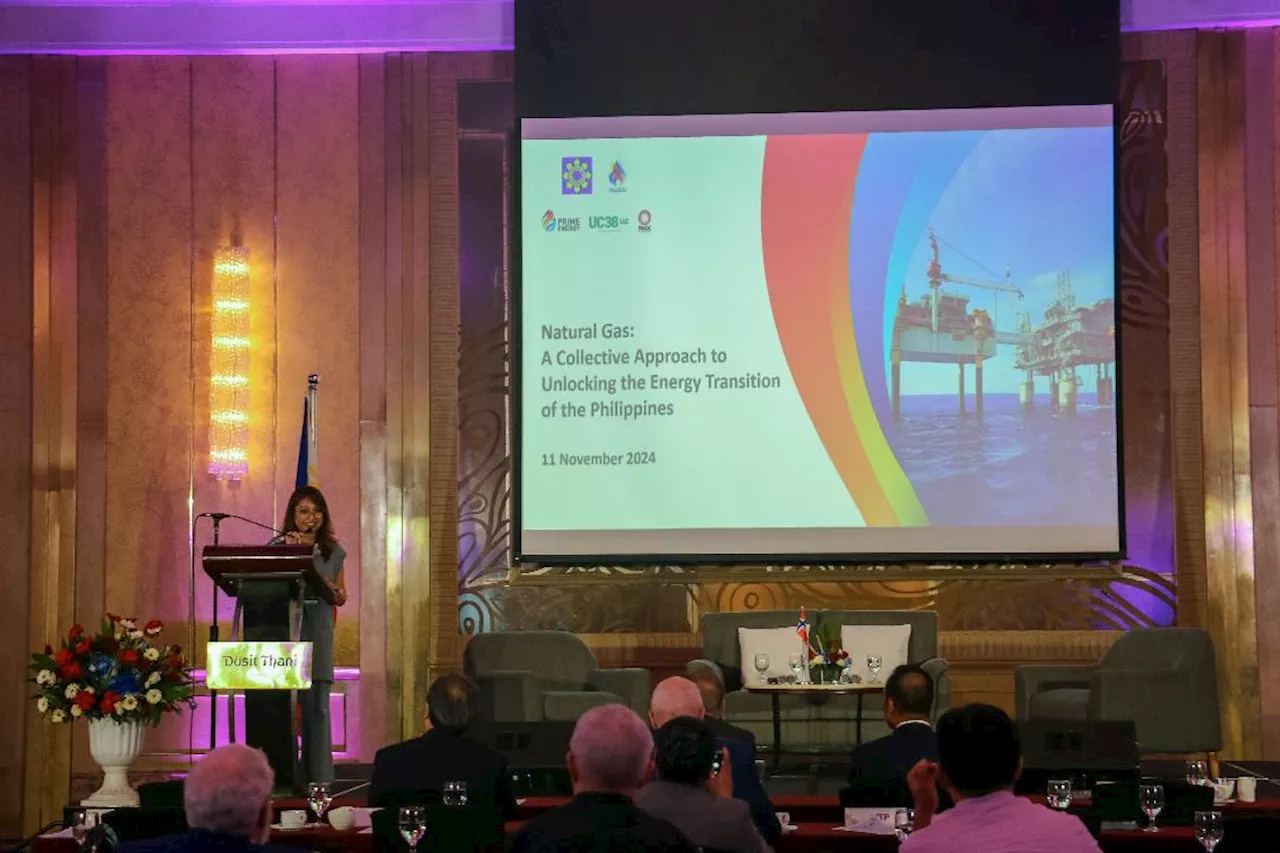 Prime Energy highlights role of indigenous gas