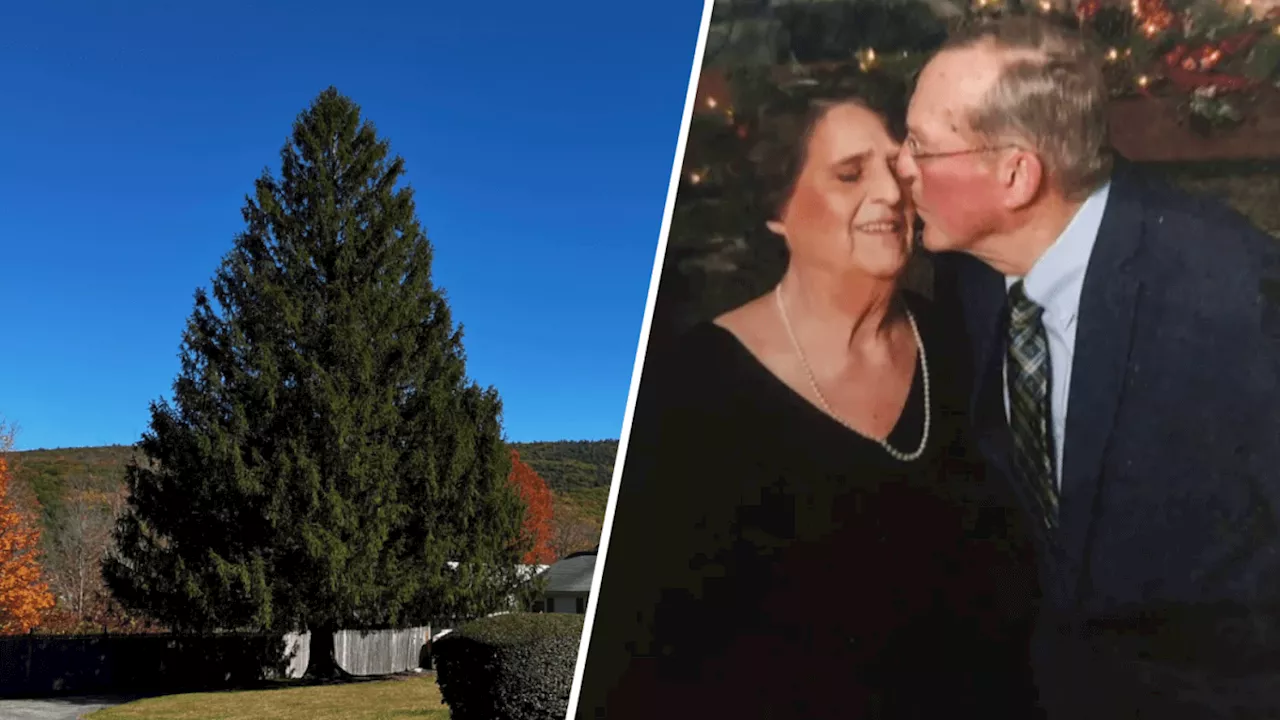 Widower who donated this year's Rockefeller Center Christmas tree suffers stroke weeks before lighting ceremony