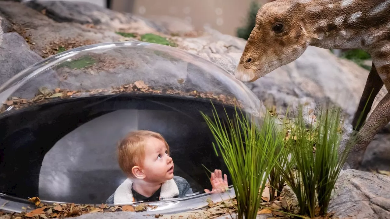 Immersive dinosaur museum and fossil park set to open in New Jersey in 2025