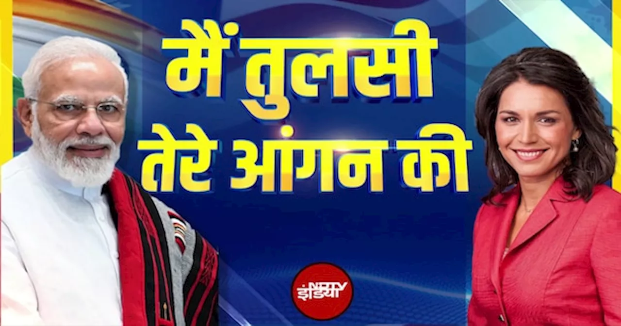 Tulsi Gabbard ने 370, कश्मीर और हिंदुओं पर कही ये बड़ी बातें | PM Modi | Donald Trump