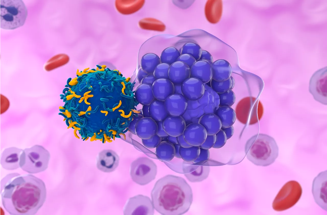 CAR T cell therapy breakthroughs bring new hope for treating solid tumors