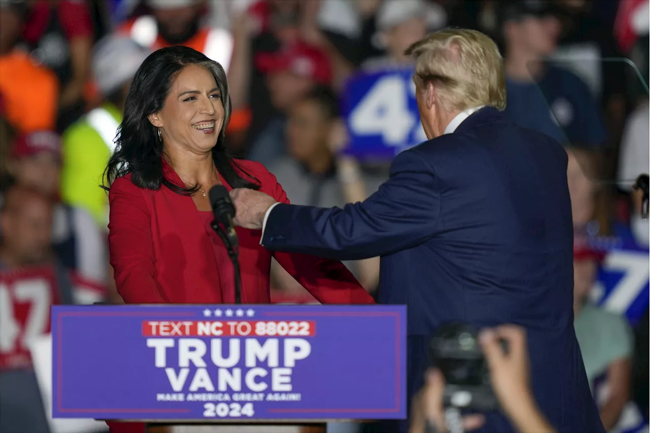 Tulsi Gabbard Speaks Out After Trump Picks Her for Intelligence Role