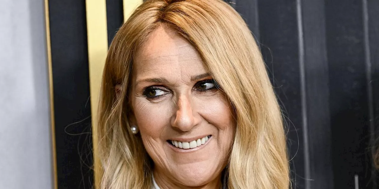 C&eacute;line Dion tritt in Riad auf - Show f&uuml;r Designer Elie Saab