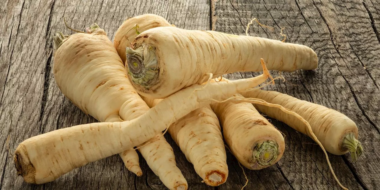 N&auml;hrstoffreich und einzigartig im Geschmack: Petersilienwurzel lecker zubereiten