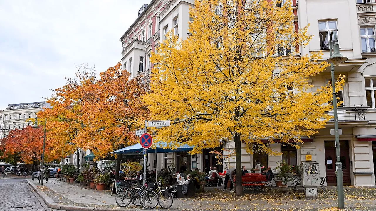 Berlin & Brandenburg: Initiative beantragt Volksbegehren für hitzesicheres Berlin