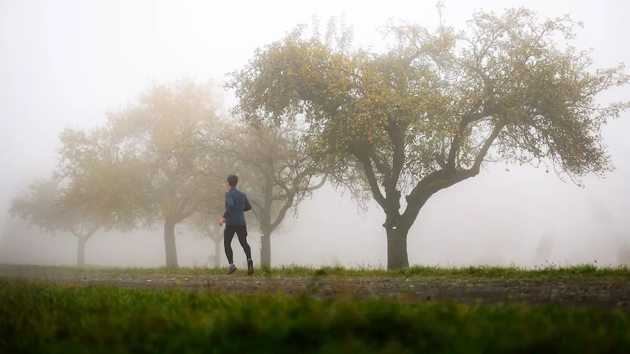 Hessen: Nebel und Wolken trüben die Aussicht aufs Wochenende