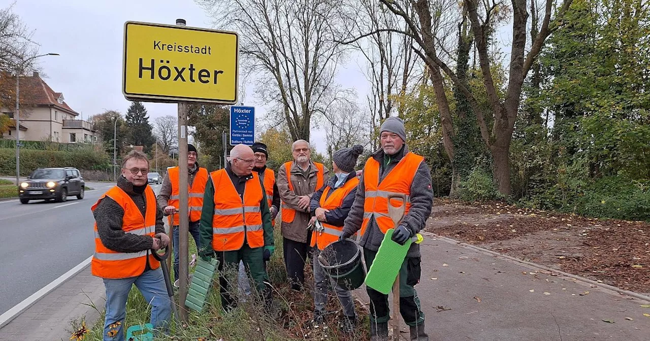 Der Heimatverein pflanzt blühendes Band durch Höxter