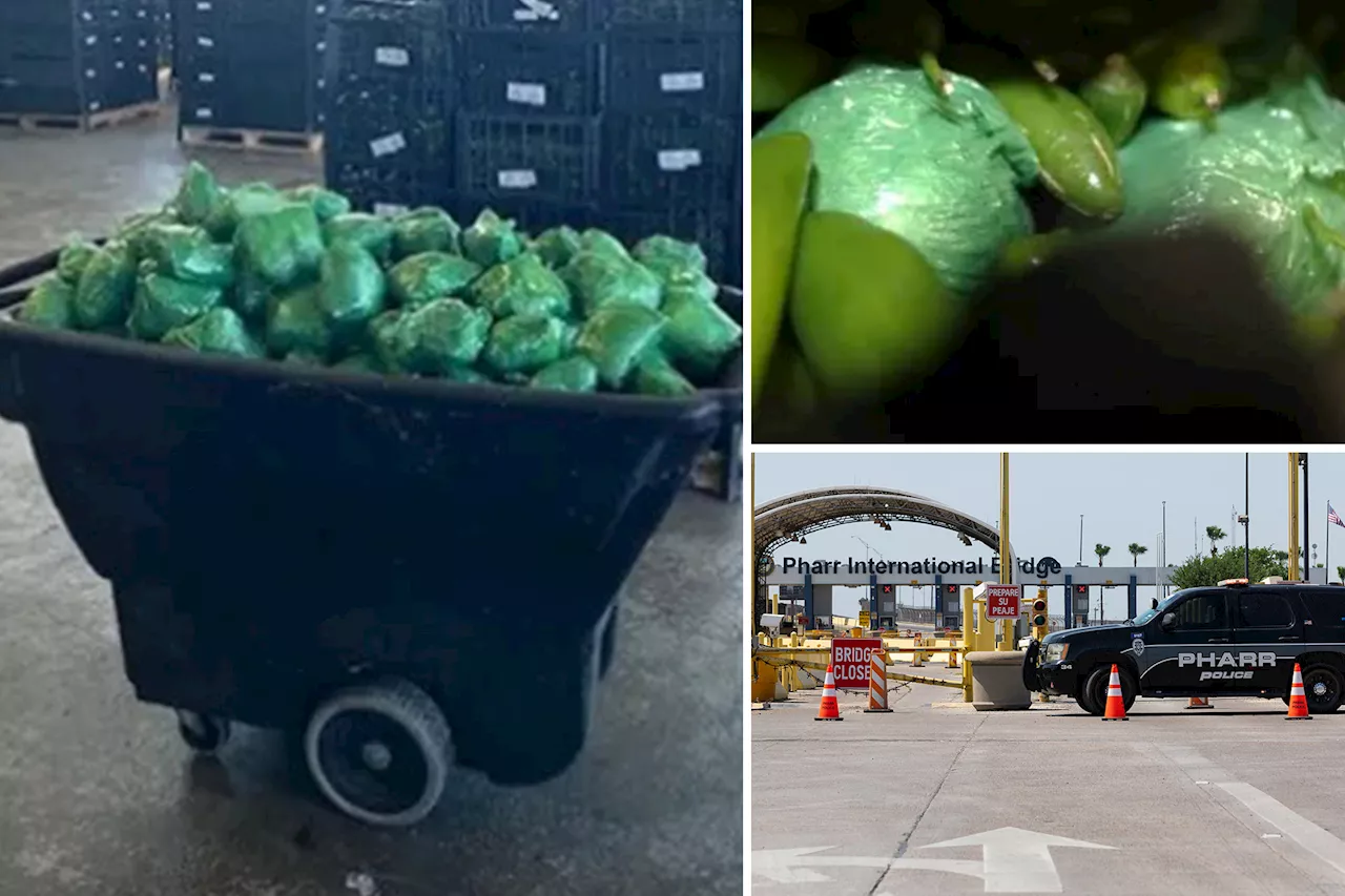 Border patrol seize more than $31M of meth hidden in shipment of peppers at Texas border