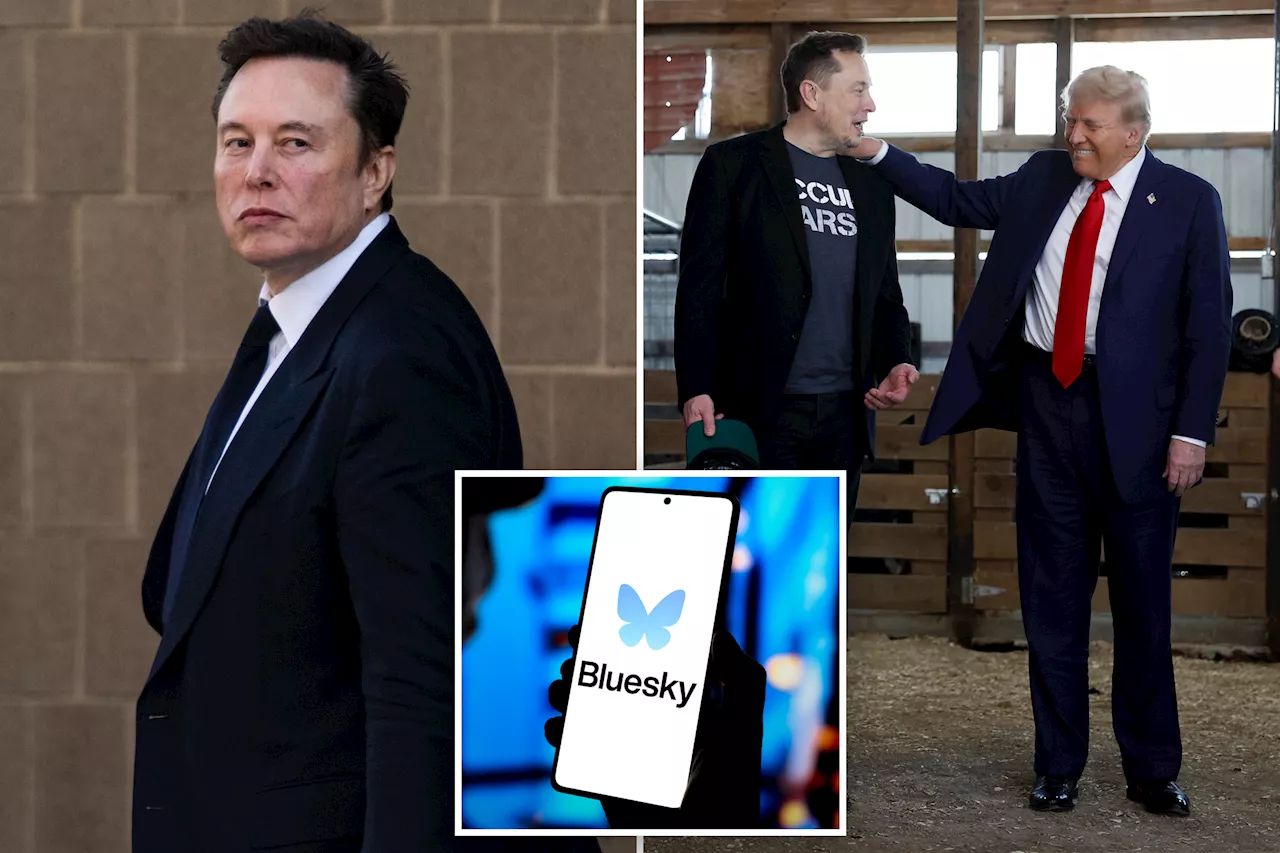 X rival Bluesky gains 1.25M users in week after Trump's victory