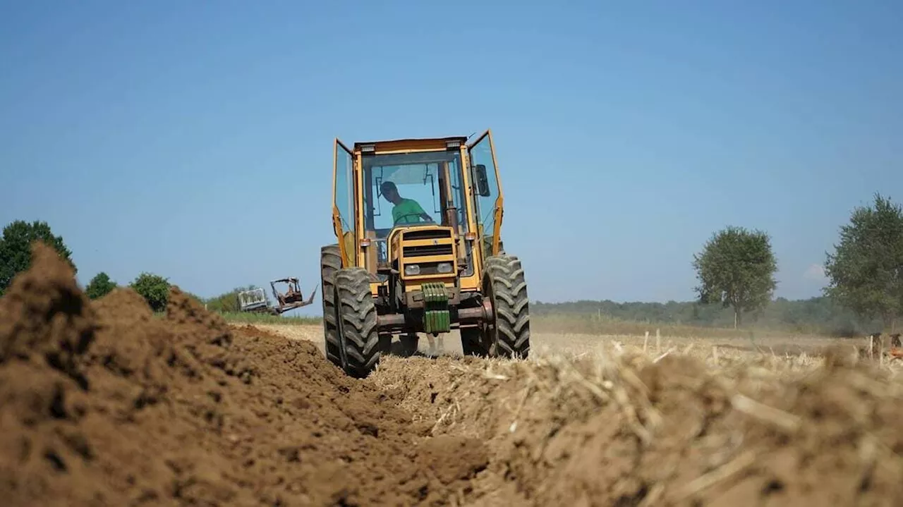 Dans le Haut-Rhin, les jeunes agriculteurs expriment leur colère ce jeudi en allumant des feux