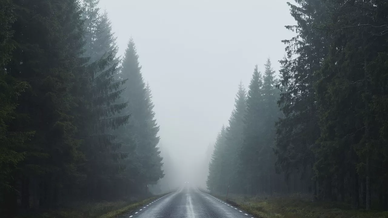 Météo en Belgique : gris avec un peu de bruine ce jeudi