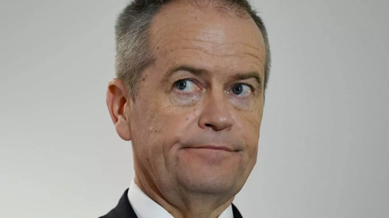 Bill Shorten corrects HECS 'freeride' opinion piece, citing staffer error