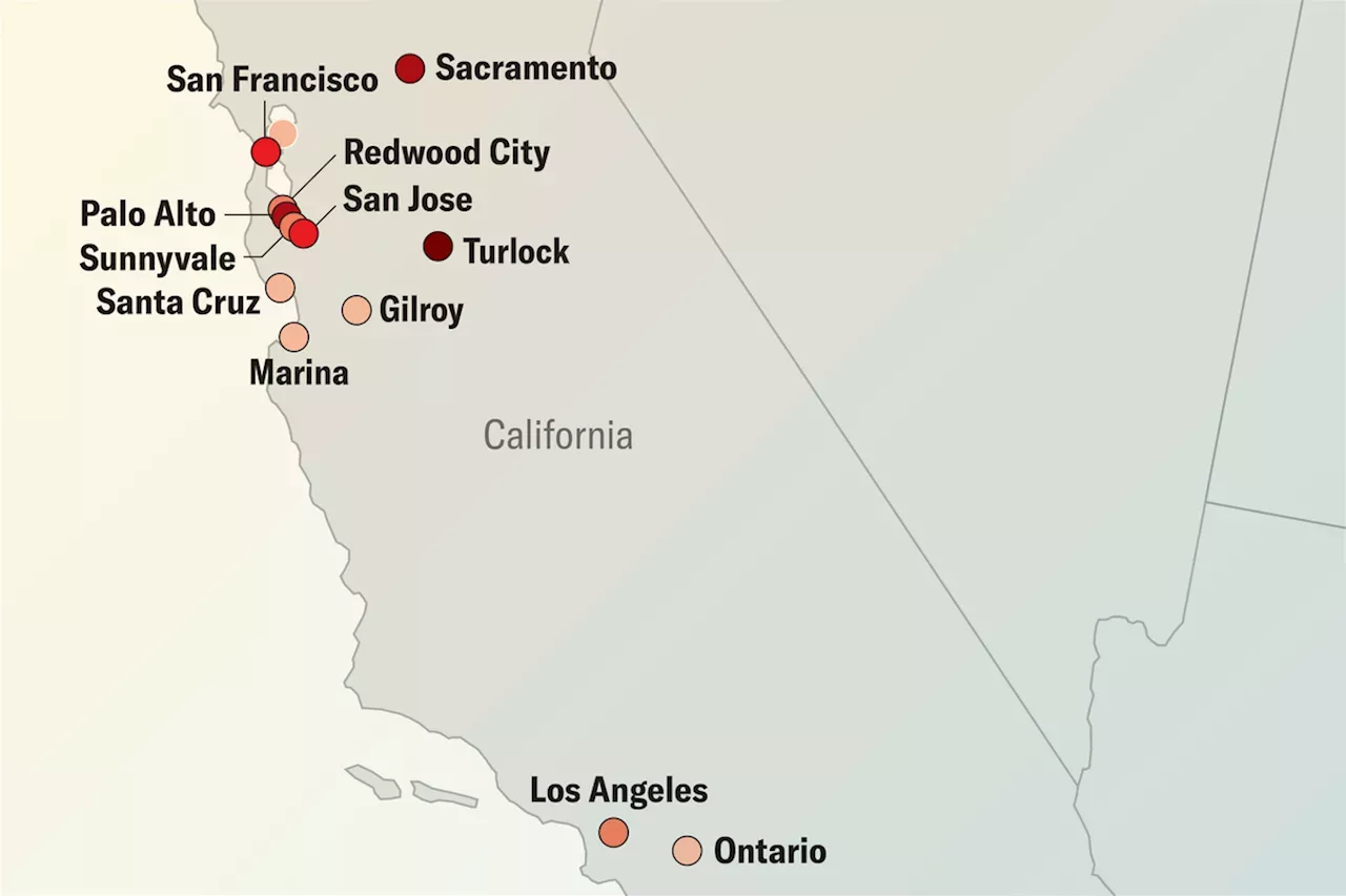 What Bird Flu in Wastewater Means for California and Beyond United States