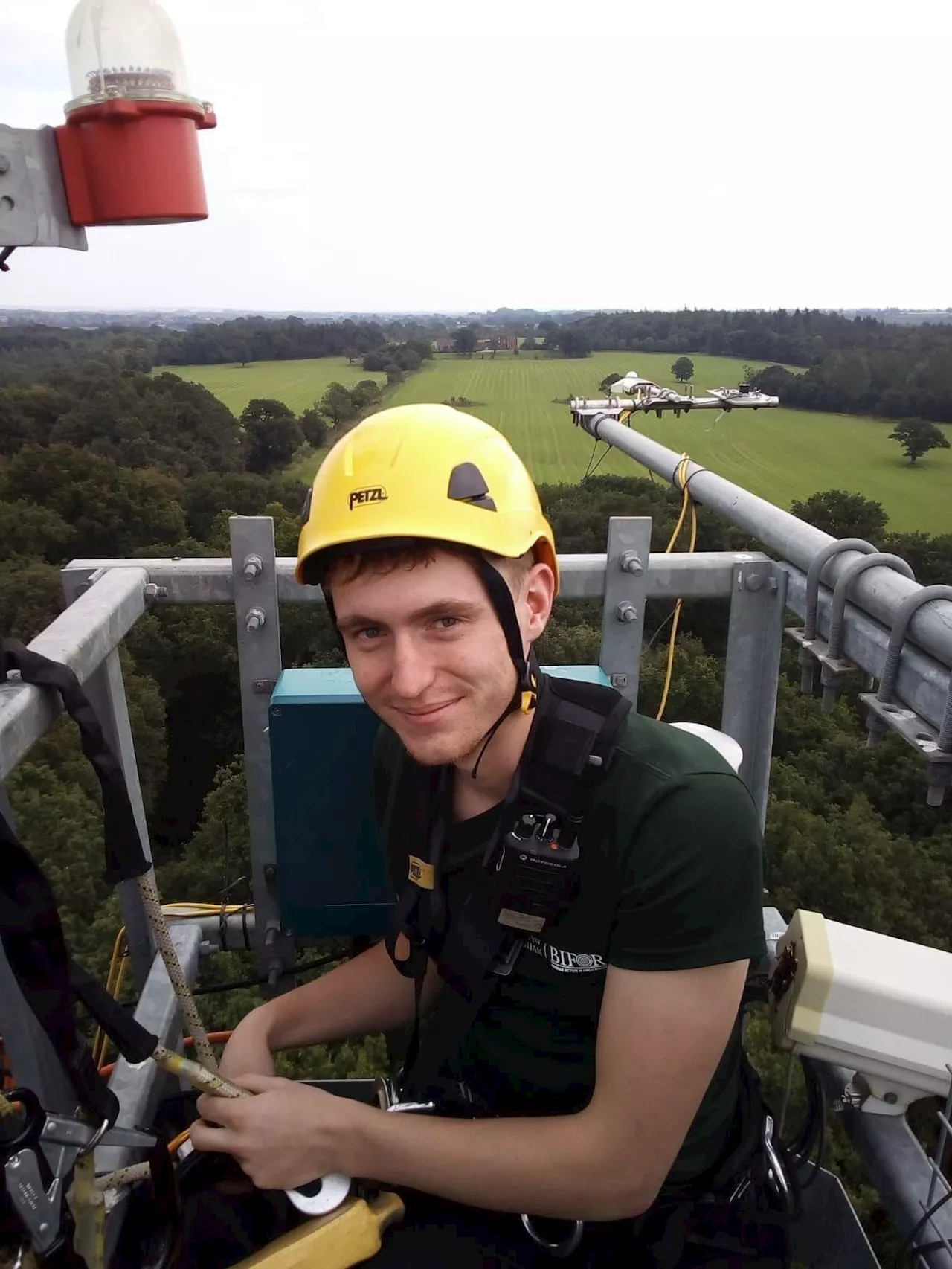 Working 40 metres in the air to support unique woodland research