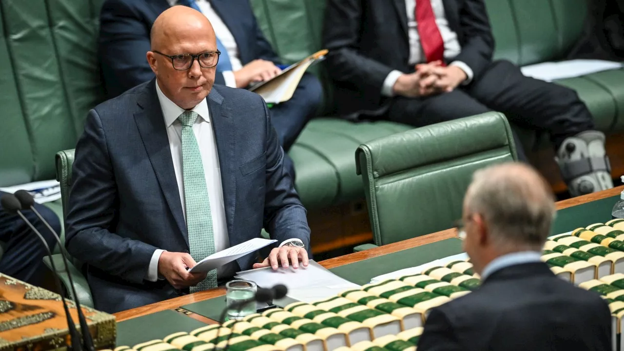 Dutton warns of Albanese govt domino effect in Rudd-Trump saga