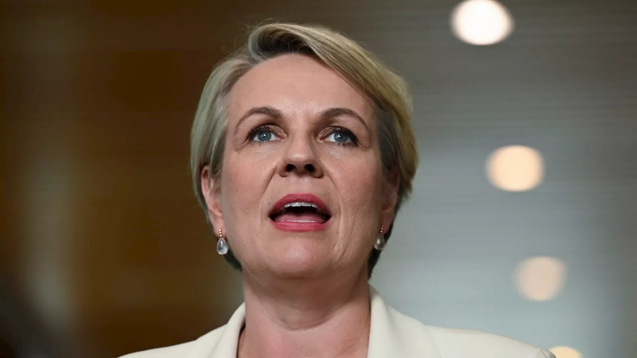 ‘Haven’t blocked the mine’: Tanya Plibersek defends veto of $1b project