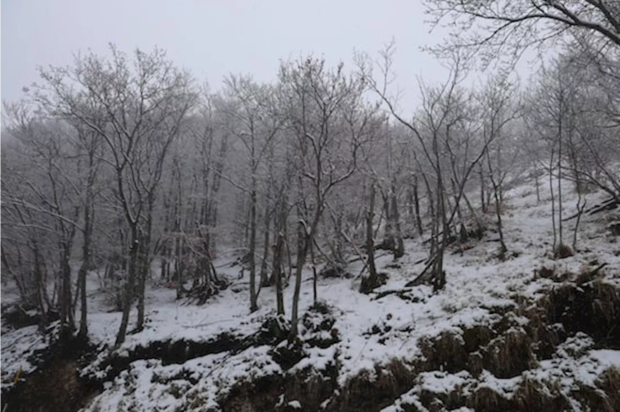 Meteo, freddo e neve sull'Italia dalla Svezia: ecco quando e dove