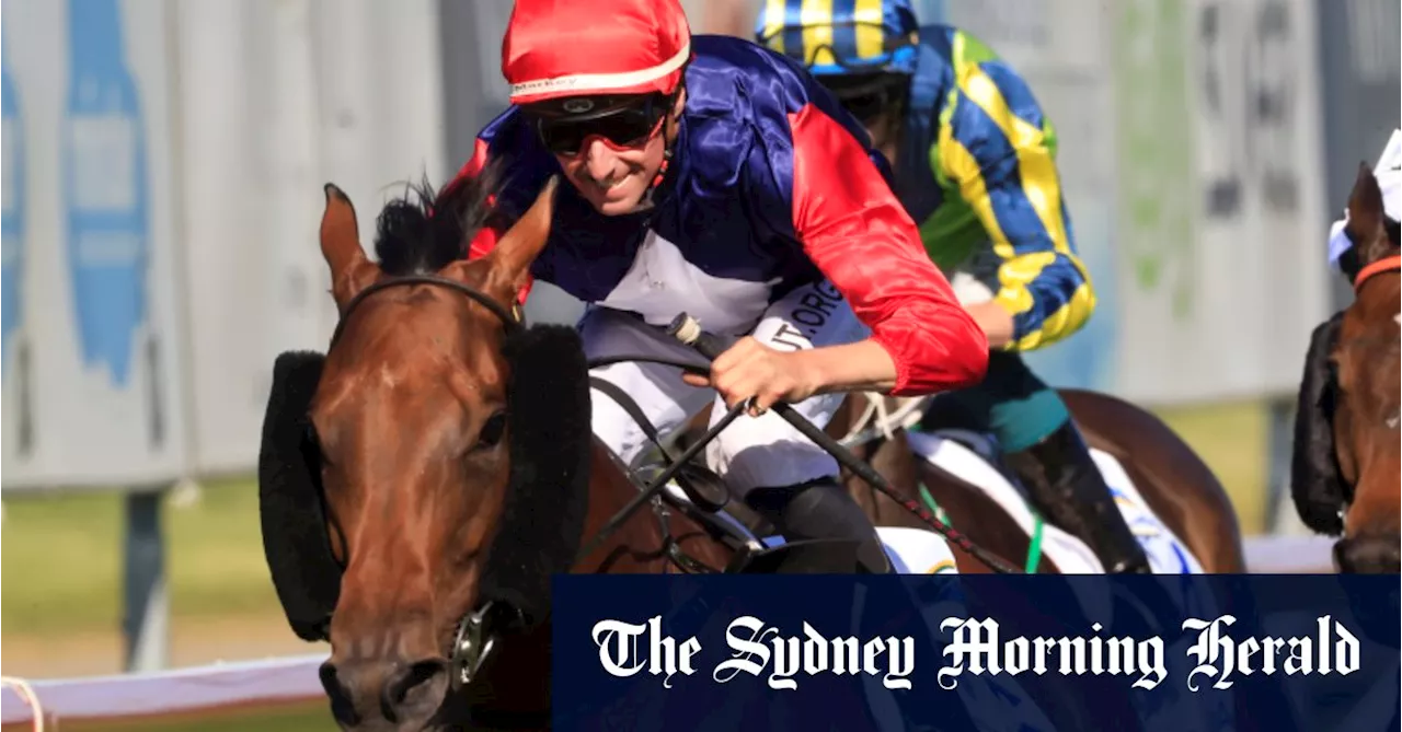 Nash Rawiller unfazed with wide barrier for Coal Crusher in The Hunter